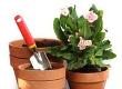 Developing Gardening Goods to Promote Your Business