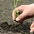 Running Classes and Gardening Demonstrations